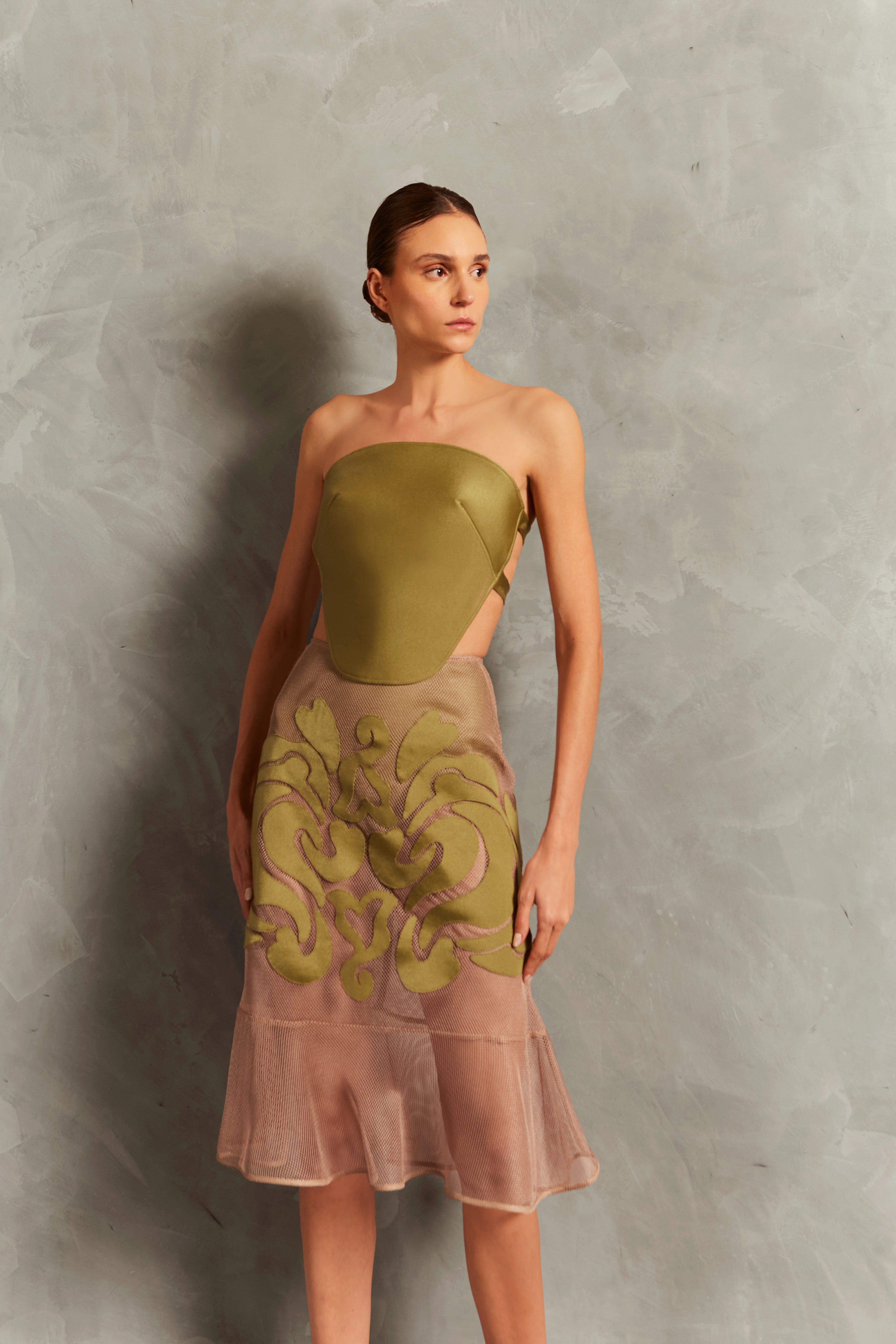 Saia Midi Aplicação Rede